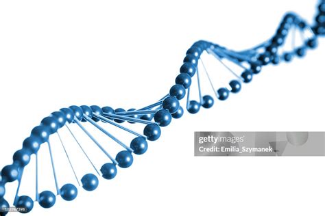 Dna Strand Model High-Res Stock Photo - Getty Images