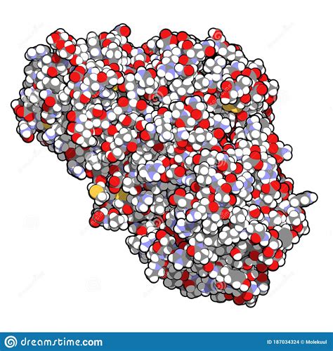 Ricin Castor Bean Plant Poisonous Protein, Chemical Structure Stock Illustration - Illustration ...