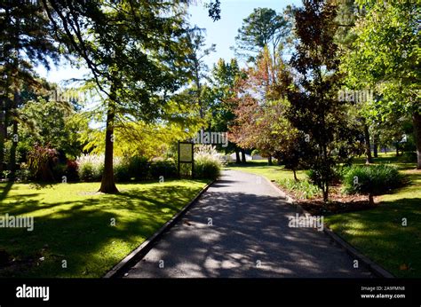 Tyler Rose Garden in Tyler, Texas Stock Photo - Alamy