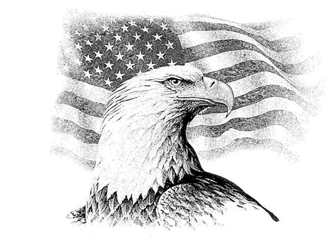 Eagle Drawings | We have hundred of other images from which to choose. Please contact ... | Flag ...