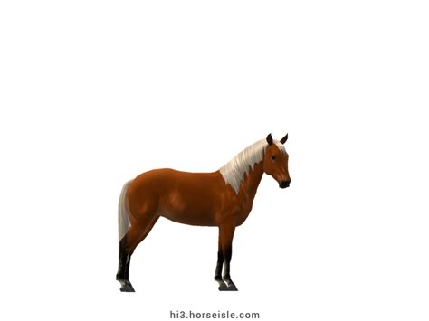 Horse Isle 3: Big Book of Breeds