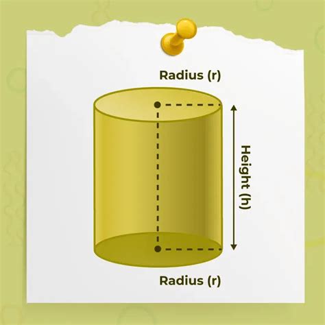 Cylinder | Shape, Formula (Volume, CSA, TSA ), Examples