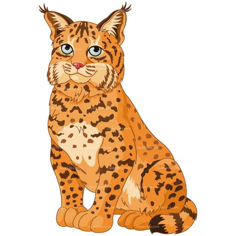 Bobcat Clipart - Free Images of This Fierce Wildcat