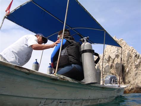 All The Live Long Day: Diving In The Sea Of Cortez - May 2010