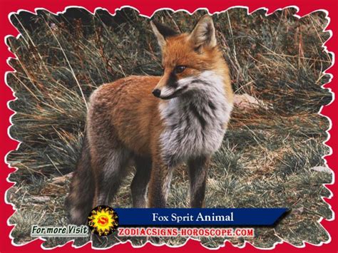 Fox Spirit Animal: Meaning, Symbolism, Dreams of Fox Animal Totem