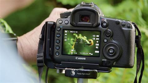 5 Best Cameras for High-Res Macro Photography | B&H eXplora