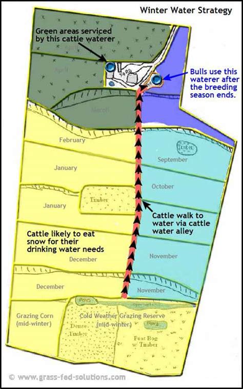 Example Pasture Rotation and Farm Plan for a Grass Fed Beef Business ...