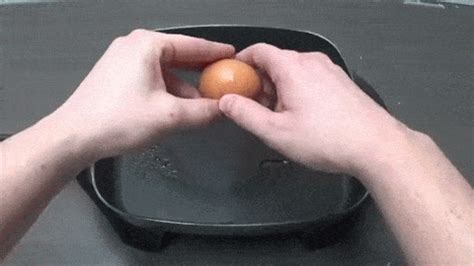 Howtobasic Egg