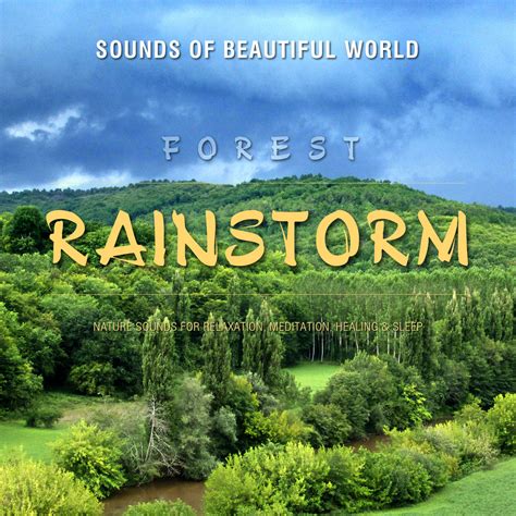 Forest: Rainstorm (Nature Sounds for Relaxation, Meditation, Healing & Sleep) | Sounds of ...