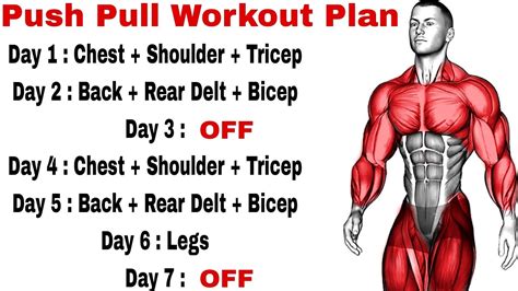 Push Pull Workout - Push Pull Legs Workout Plan - Sports Health Guide