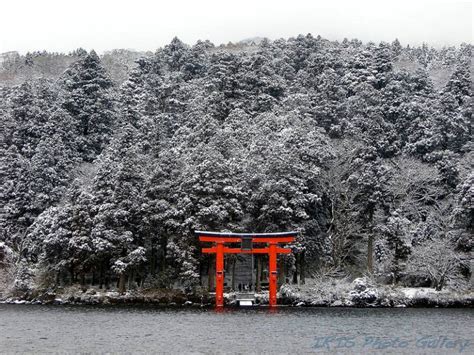 Tokyo Winter Itinerary: A 3-Day Guide | Tokyo Cheapo