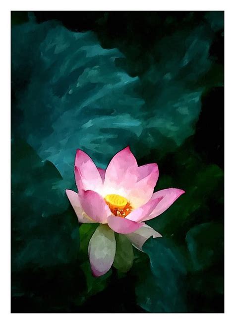 Pink Lotus Flower Painting Blossom Flower, Lotus Flower, Pink Lotus ...