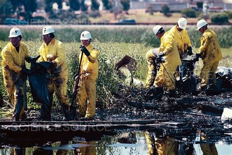 Oil Spill Cleanup | Stock Image - Science Source Images