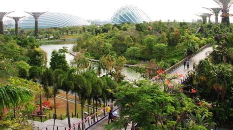 Gardens By The Bay Light Show Review - Janainataba