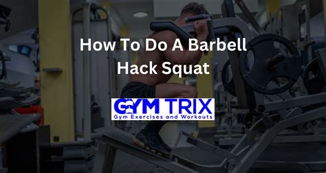 How To Do A Barbell Hack Squat – Benefits, Proper Form, And Tips - Gym Trix