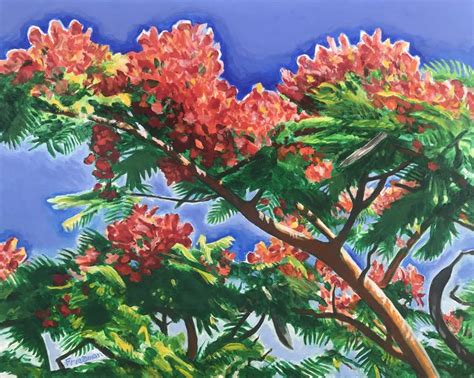 Royal Poinciana Painting by David Friedman | Saatchi Art