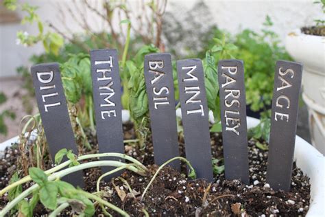 Garden Herb Labels | Fasci Garden