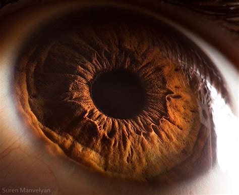 Extreme Close-Ups of the Human Eye | Bored Panda