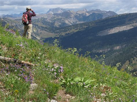 Nature News: June - The Hole Hiking Experience