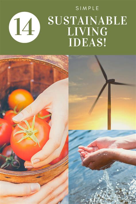 14 Simple Sustainable Living Ideas - Real Self-Sufficiency