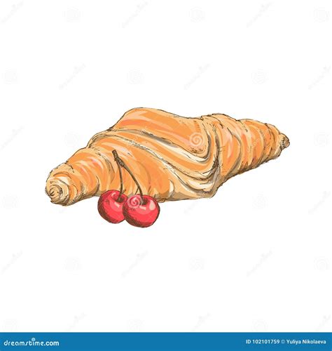 Two Croissants Bake Puff Pastry Color Flat Design on White Background. Stock Vector ...