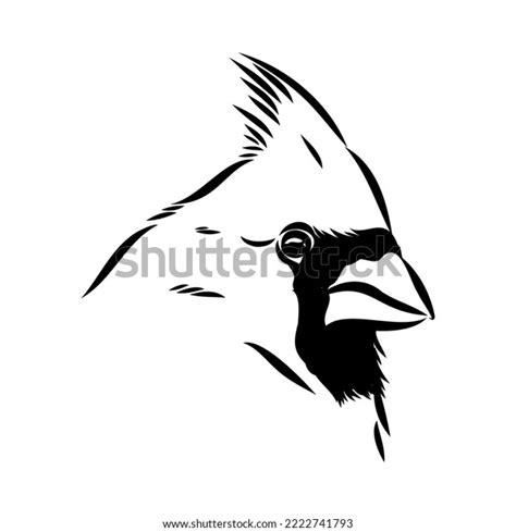 Cardinal Bird Sketch Vector Illustration Hand Stock Vector (Royalty Free) 2222741793 | Shutterstock