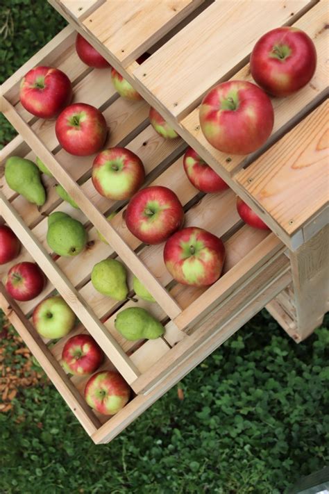 DIY Apple Storage Rack — Practical Self Reliance