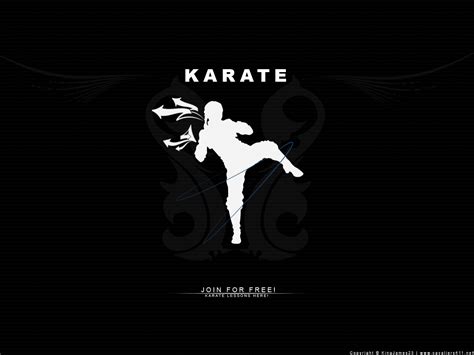 Karate Wallpaper by reboundmaster01 on DeviantArt