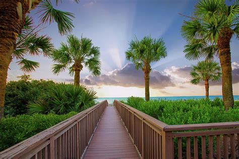 Beach boardwalk-Sunrise- Hilton Head Island-South Carolina Photograph by William Reagan - Pixels