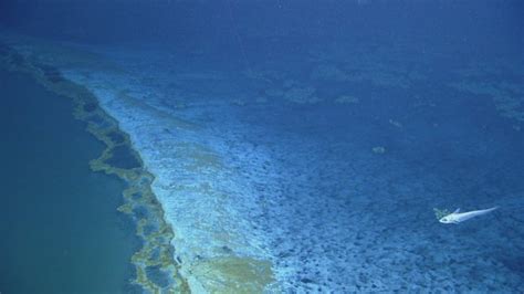 “Brine Pools” An Under Water Lake in Ocean Basin | Charismatic Planet