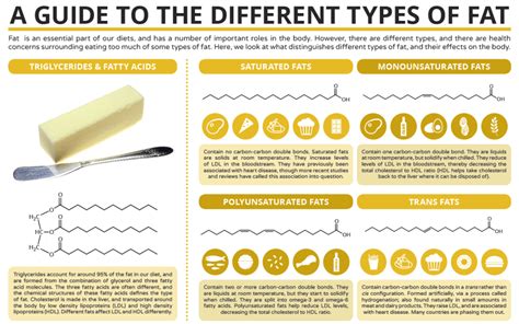 Is Saturated Fat Bad for Me? - The Facts on Fat! | George Health