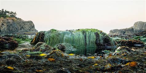 Photographing Secret Beach, Oregon - Todd Dominey