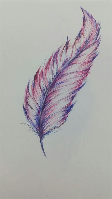 Colored pencil #feather 💜 | Feather art drawing, Pencil drawings of nature, Feather drawing