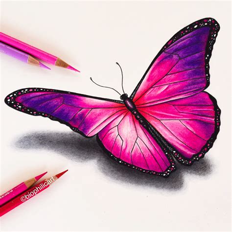 Picture of a pink butterfly drawn using colored pencils. Butterfly coloured pencil art ...