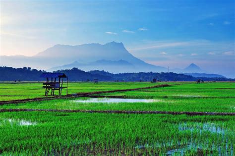 Kota Kinabalu Stock Photos, Pictures & Royalty-Free Images - iStock