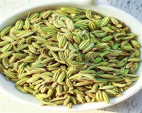 Fennel seeds benefit for females and males and hair and WL