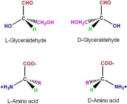 Stereochemistry of Amino Acids - Chemistry LibreTexts