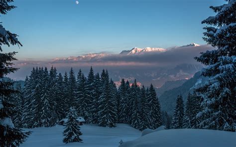 Montañas en el bosque lleno de nieve Fondo de pantalla 4k HD ID:6020