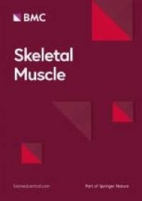 Skeletal muscle characteristics are preserved in hTERT/cdk4 human myogenic cell lines | Skeletal ...