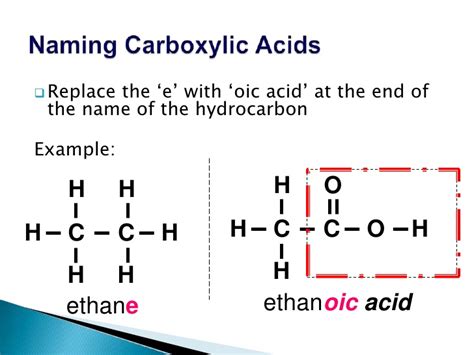 Carboxylic Acid Examples