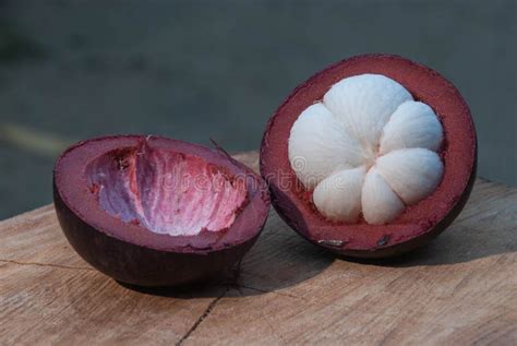 Purple mangosteen stock photo. Image of object, forest - 56311496