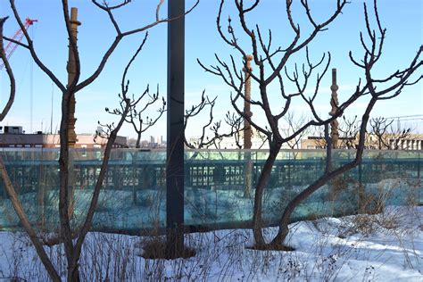 The Highline NYC in art & installations: Winter 2016 | Liv and Rob