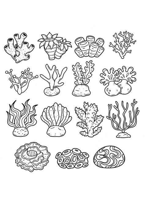 Simple Coral Reef Coloring Pages