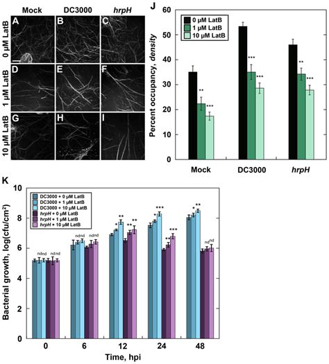 Disruption of the host-cell actin cytoskeleton promotes virulence. The ...