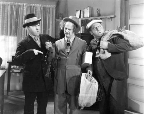 The Three Stooges in Ants in the Pantry | The three stooges, The stooges, Funniest pictures ever