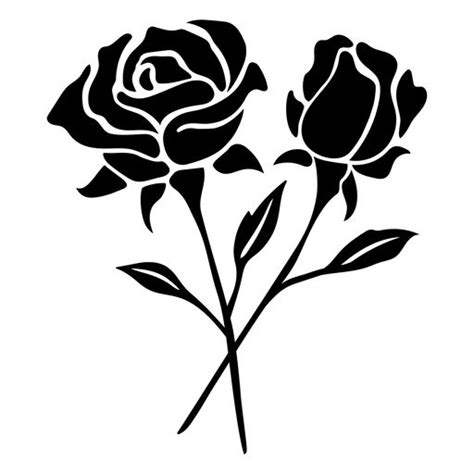 two black roses on a white background