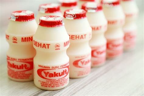 What Happens If You Drink Too Much Yakult? | Ramblersf.com