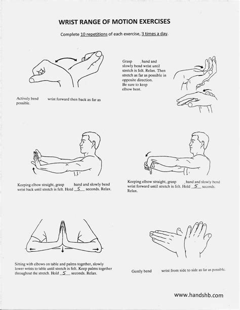 biceps tendonitis exercises pdf nhs - Liberty Haywood