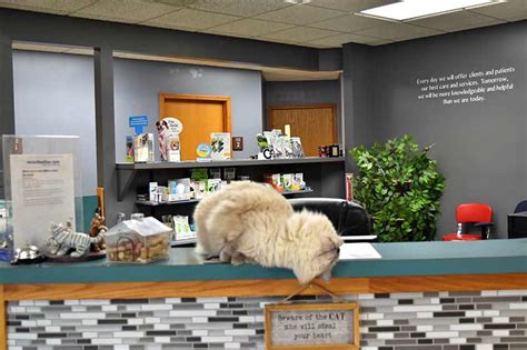 Payment Options | Middletown Veterinary Hospital