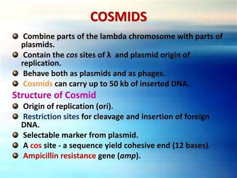 Molecular Cloning - Vectors: Types & Characteristics | PPT